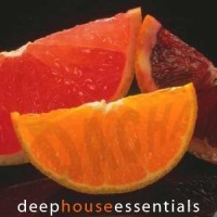 DJ Dacha - Deep House Essentials - Live